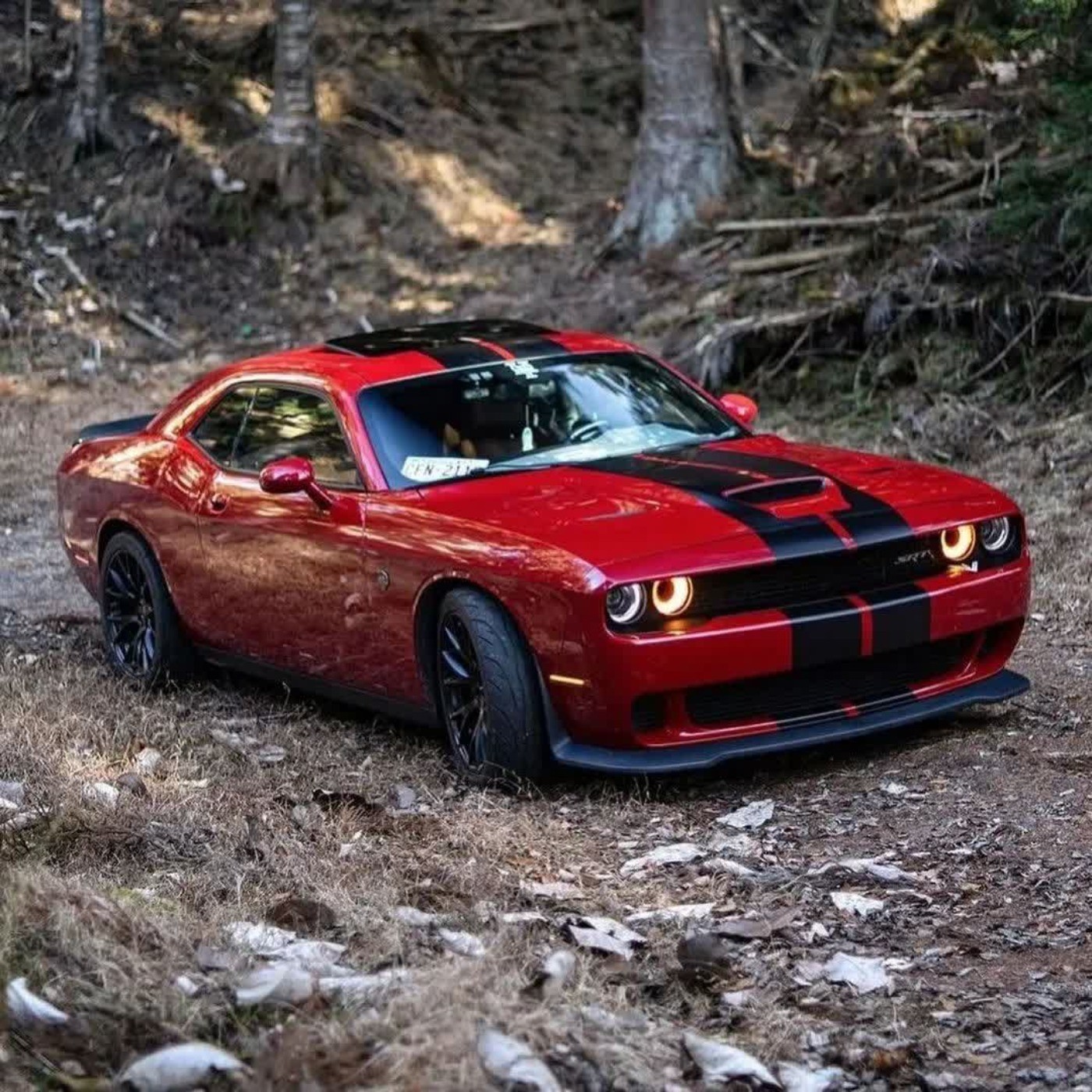 تصویر ارسال شده